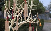 设计联盟社团举办传统手工竹雕活动
